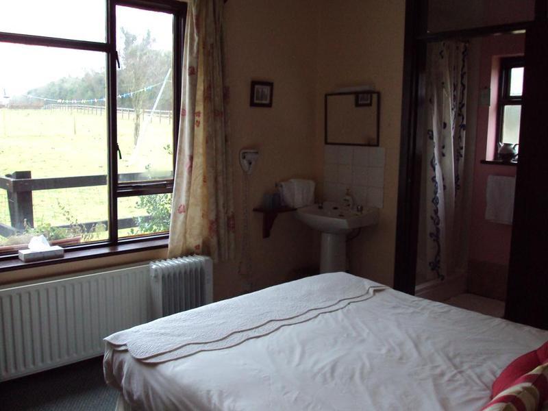 Belmont House Apartment Waterford Bagian luar foto